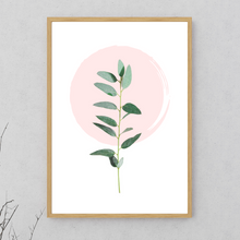 Load image into Gallery viewer, Eucalyptus Plant No.1
