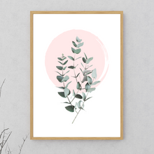 Load image into Gallery viewer, Eucalyptus Plant No.2
